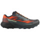 Salomon Pulsar Quiver
